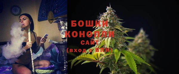 прущие грибы Абдулино