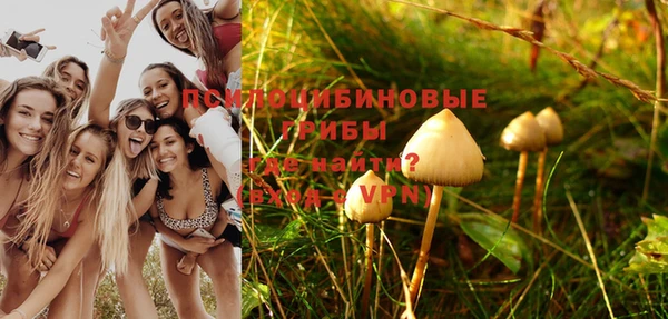 амф Алексеевка