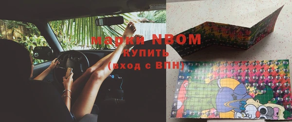 прущие грибы Абдулино