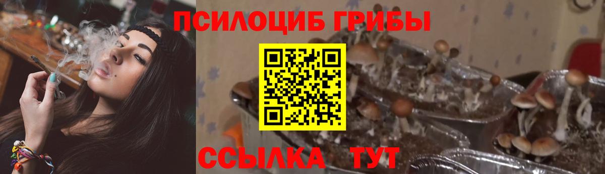Галлюциногенные грибы Magic Shrooms Балаково