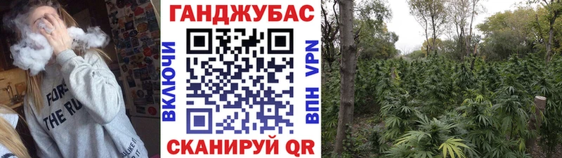 Конопля планчик  Балаково 